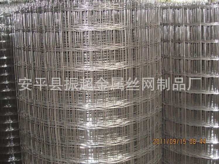 电焊铁丝网 焊接铁丝网-安平县振超金属丝网制品厂
