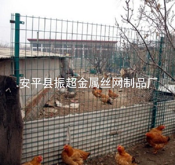 圈鸡圈鸭用铁丝网-http://www.apzhenchao.com