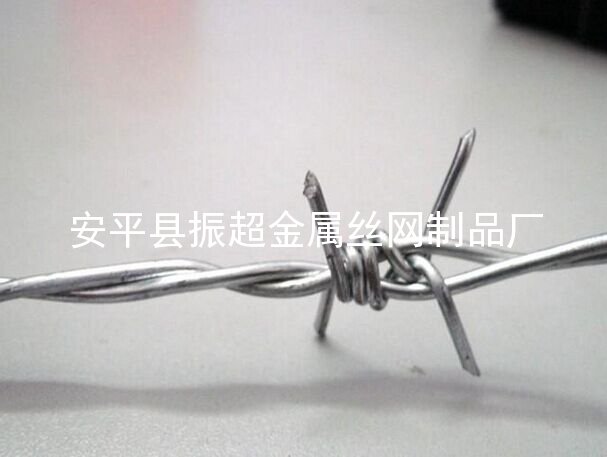 有刺的铁丝网 刺绳-http://www.apzhenchao.com