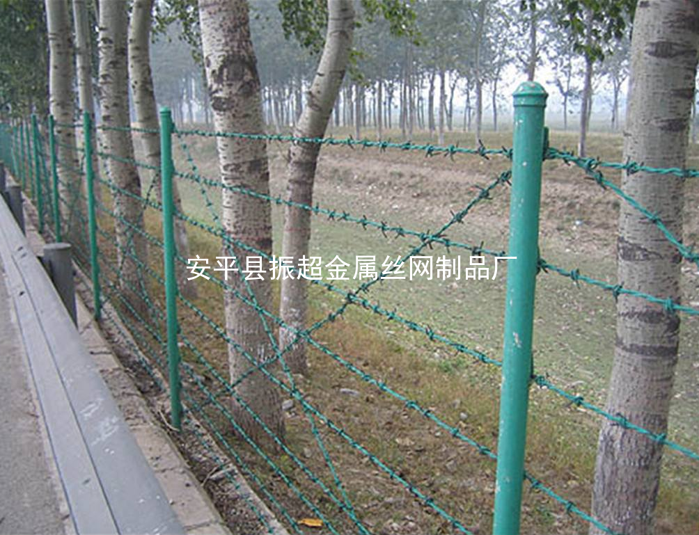 有刺的铁丝围网，带刺的铁丝围栏http://www.apzhenchao.com