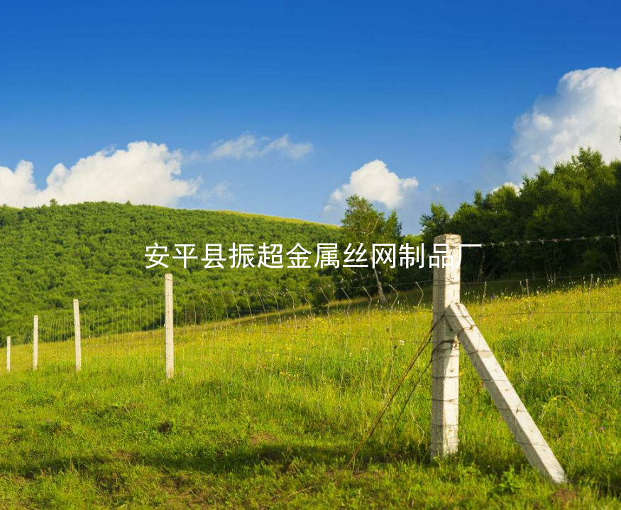 草原铁丝网围栏-www.apzhenchao.com