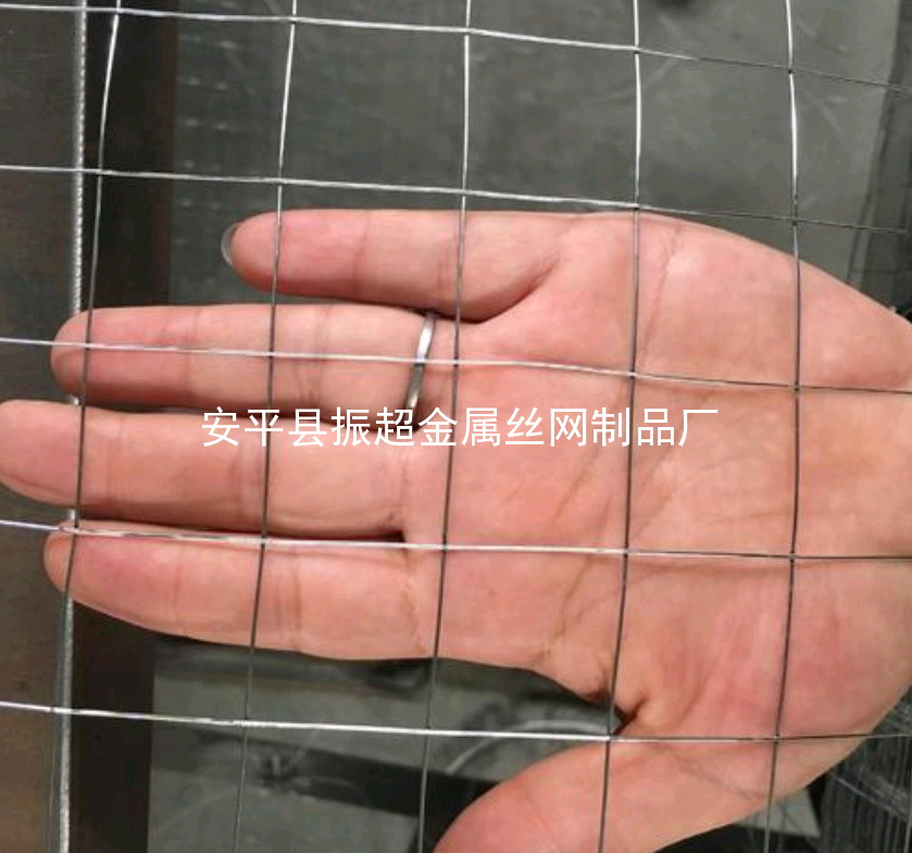 电焊铁丝网-www.apzhenchao.com