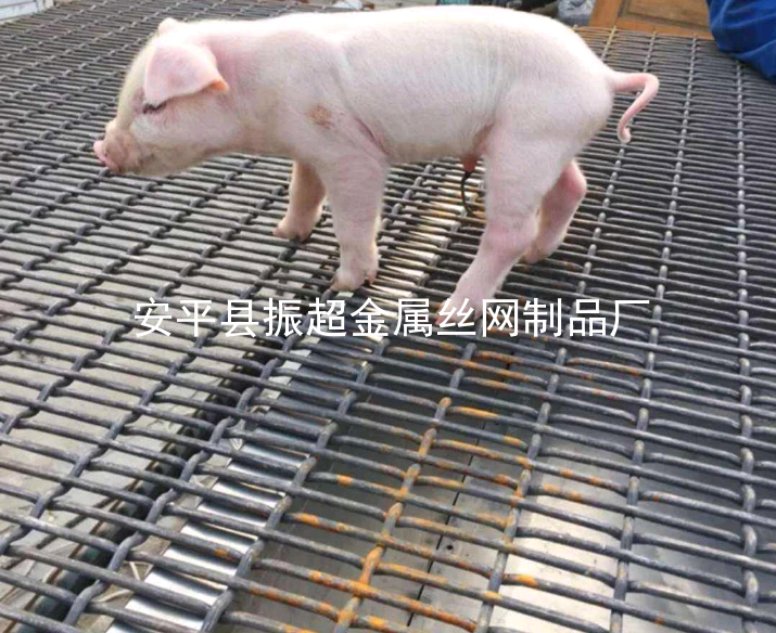 猪床铁丝网-www.apzhenchao.com