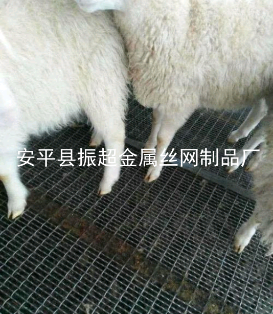 铁丝网羊床，养羊漏粪板-www.apzhenchao.com